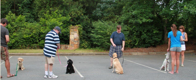 Doggie du Good's Obedience Class in Johns Creek Area